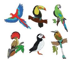 Vector set of tropical birds. Colorful painted birds. Collection of stickers with birds.