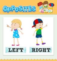 Opposite words for left and right vector