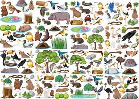 colección de diferentes tipos de animales salvajes vector