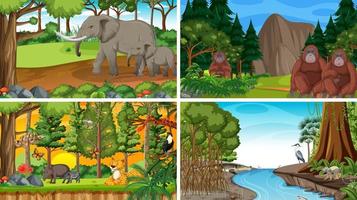 diferentes escenas del bosque con animales salvajes. vector