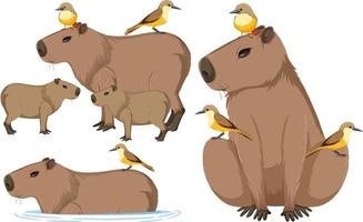 Set of different capybara in cartoon style vector