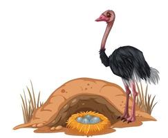 Ostrich with its egg in cartoon style vector