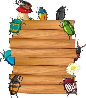 Insect with wooden frame board banner