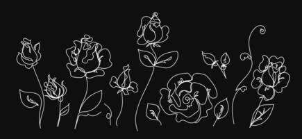 Rose continuous line set, garden roses, outline sketch style vector abstract art.