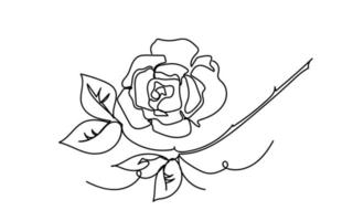 Continuous line drawing of rose flower,doodle sketch style vector abstract art.