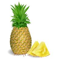 Pineapple and sliced on a white background vector