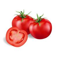 Fresh tomatoes and sliced on a white background, vector illustration