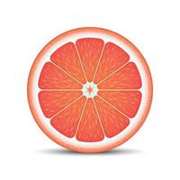 Realistic grapefruit slice vector