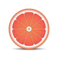 Realistic grapefruit slice vector