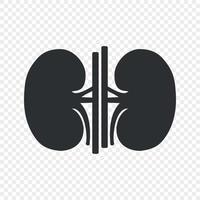 Kidney human renal vector icon isolated Template for your design