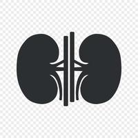 riñón humano renal vector icono plantilla aislada para su diseño