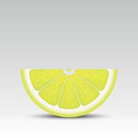 Realistic lemon slice