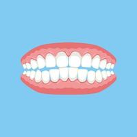 dentadura postiza, encías con dientes o dentaduras postizas. . ilustración vectorial