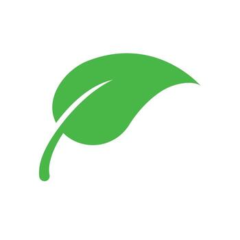 Leaf vector icon