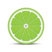 Realistic lime slice vector