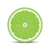 Realistic lime slice vector