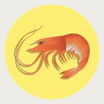 Shrimp vector Illustration with yellow background