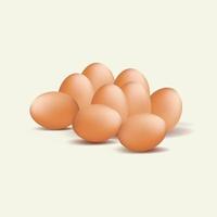 Realistic eggs chicken vector illustration