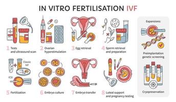 esquema de tratamiento de infertilidad e infografía vectorial de fertilización in vitro ivf. hiperestimulación ovárica, inseminación artificial, cultivo de embriones y criopreservación. procedimiento medico para el embarazo vector