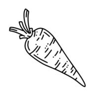 Carrot, vegetable harvest, linear vector icon in doodle style