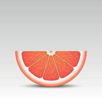 rodaja de pomelo realista vector