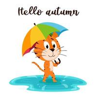 Cute cartoon tiger walks with umbrella through a puddle. Background of raindrops and the inscription Hello autumn. A card with an adorable character. Color vector illustration on a colored background.