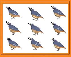 Game for kids find two identical pictures. Find two identical quails. vector