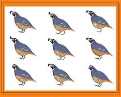 Game for kids find two identical pictures. Find two identical quails. vector