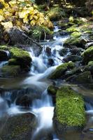 Flowing water from a mountain stream.