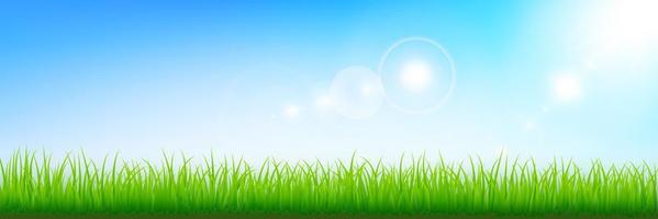 Illustrated background with grass border and sunlight against blue sky. Illustrate sky scene.