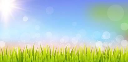 Abstract grass illustration on bokeh background. Illustrate sky scene. photo