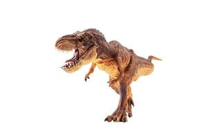 Tyrannosaurus rex  , Dinosaur on isolation background photo