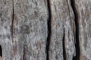 Old wood texture, vintage natural photo