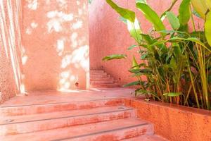 beautiful pink and orange stair step photo