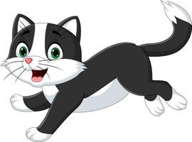 Cartoon black and white cat on white background vector