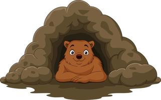 Cartoon happy brown bear in the cave vector