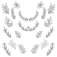 Hand drawn floral decorative elements Vector template