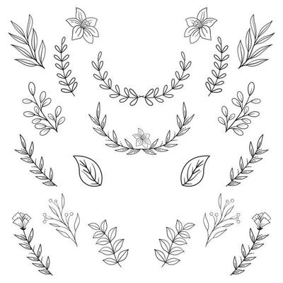 Hand drawn floral decorative elements Vector template