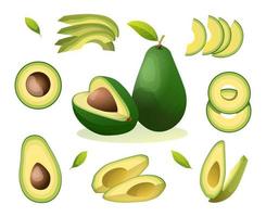 Set of fresh whole, half, cut slice and leaves avocado illustration isolated on white background vector