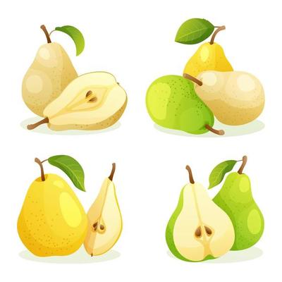 Set of various fresh pear fruits whole and half cut illustration isolated on white background