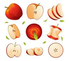 conjunto de frutas frescas de manzana enteras, mitades, rebanadas cortadas e ilustraciones de hojas aisladas en fondo blanco vector