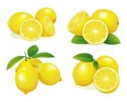 Set of fresh lemon whole and half cut illustration isolated on white background vector