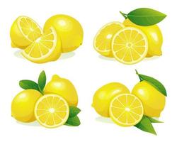 Set of fresh lemon whole and half cut with leaves illustration isolated on white background