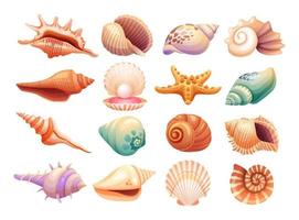 Set of various seashells illustration isolated on white background