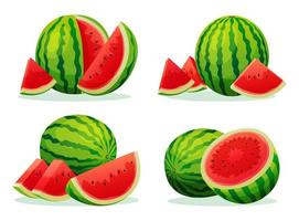 Set of fresh juicy watermelon whole, half and cut slice illustration isolated on white background vector