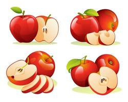 Set of fresh apple fruits whole, half and cut slice illustration isolated on white background vector
