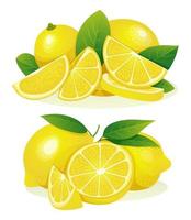 Set of fresh lemon whole, half and cut slice with leaves illustration isolated on white background vector