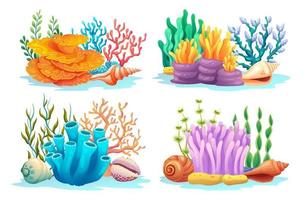 Set of coral reefs, algae, seaweed and seashells in various types cartoon illustration vector