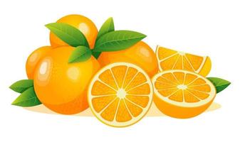 conjunto de frutas naranjas frescas enteras, mitad, rebanadas cortadas con ilustración de hojas aisladas en fondo blanco vector