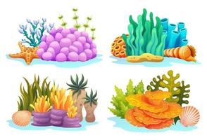 Collection of coral reefs, algae, seaweed and seashells in various types cartoon illustration vector